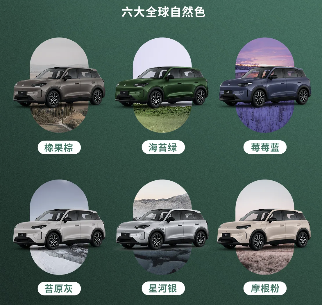 WechatIMG3382 WechatIMG3382