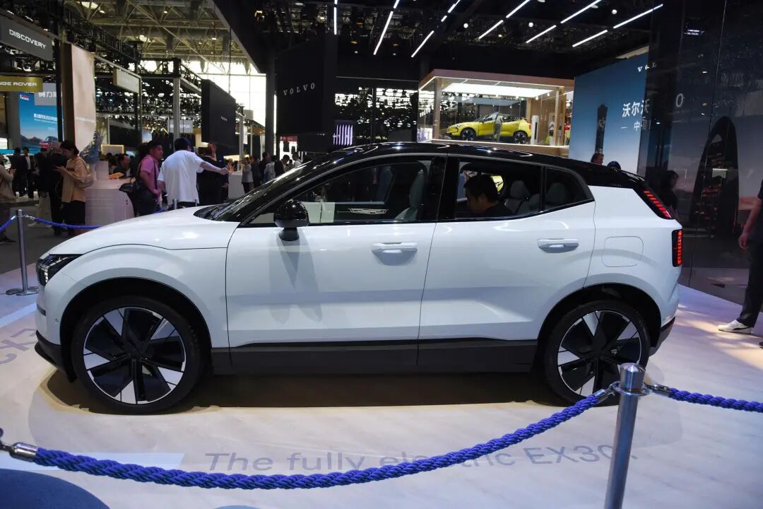 IMG_8631(1) IMG_8631(1)